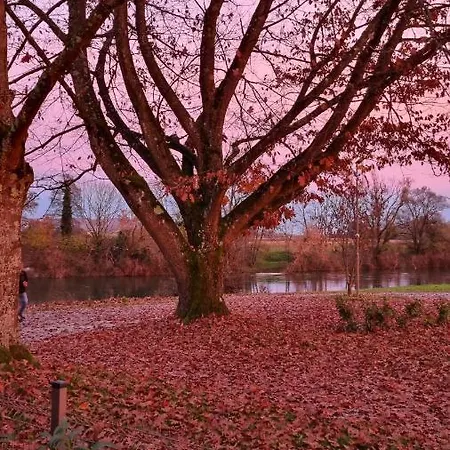 Апартаменты Nobleja Kolpa - Big Berry Metlika Gradac
